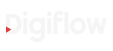 DigiFlow Logo